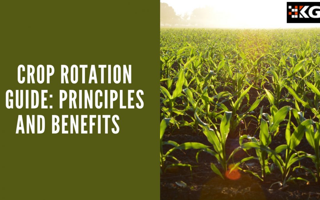 CROP ROTATION GUIDE: PRINCIPLES AND BENEFITS