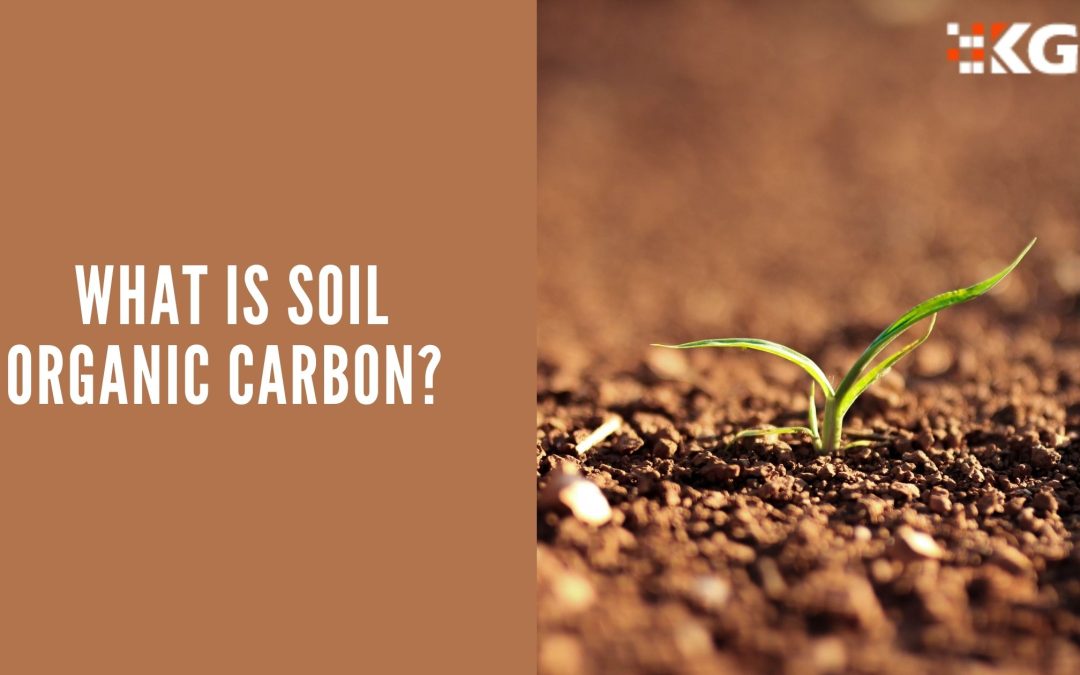 WHAT IS SOIL ORGANIC CARBON?