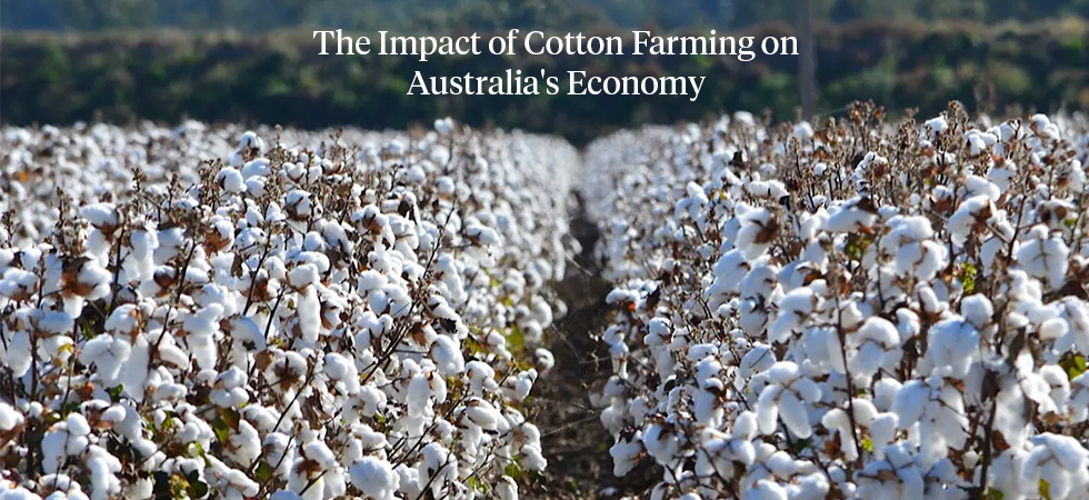 The Impact of Cotton Farming on Australia's Economy