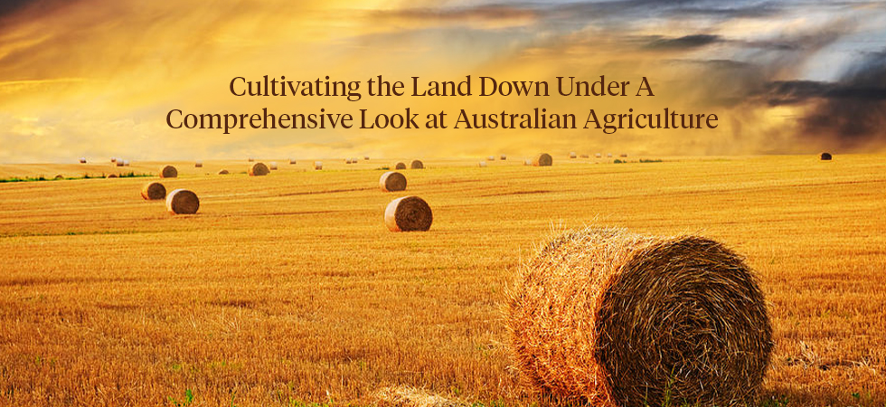 A Comprehensive Look at Australian Agriculture