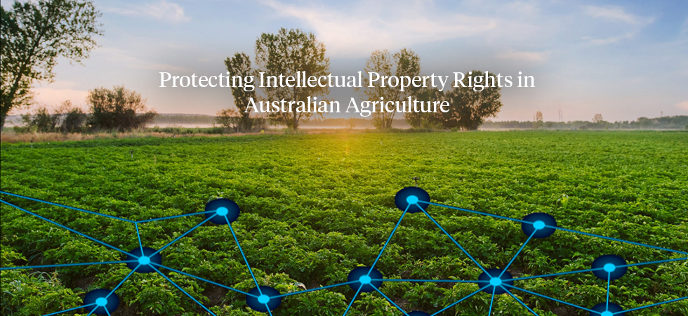Protecting Intellectual Property Rights in Australian Agriculture