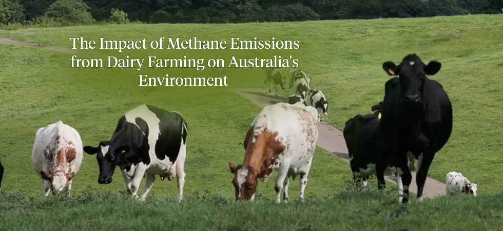 Methane Emissions from Dairy Farming