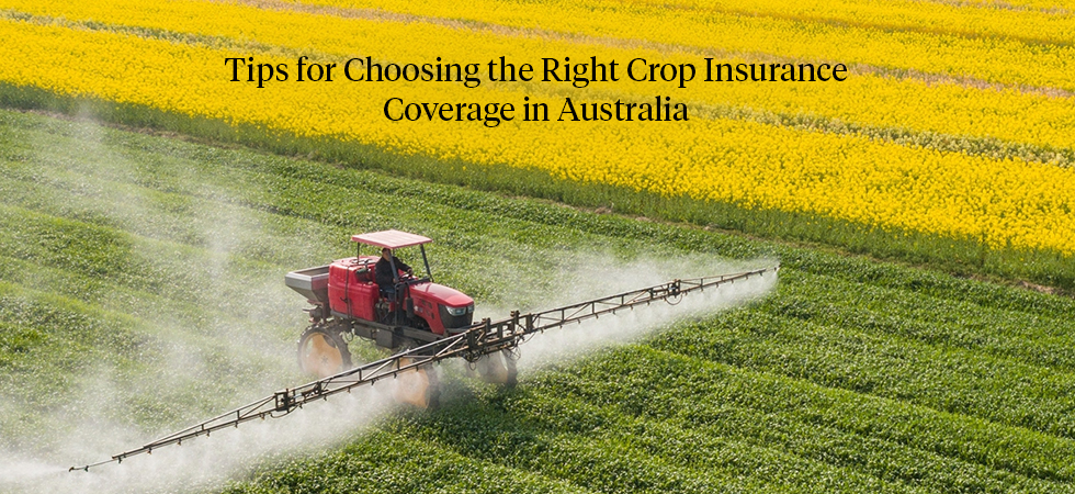 Choosing the Right Crop Insurance